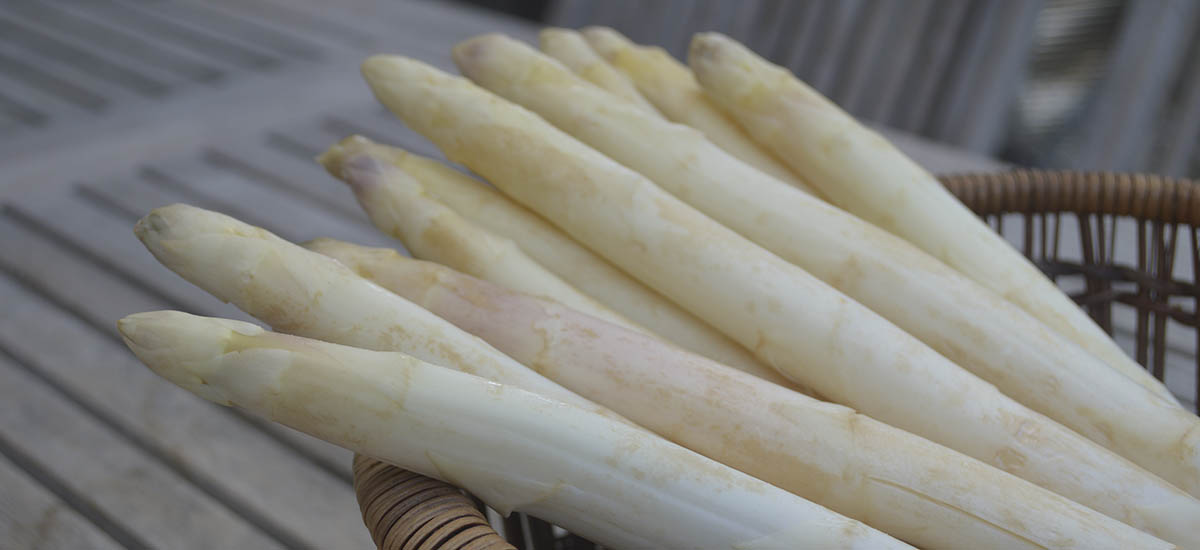 Hælde læbe realistisk Hvide asparges - sådan koger du dem nemt og lækkert - Hverdagsro.dk