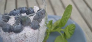Chia grød med bær