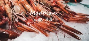 Madplan uge 33