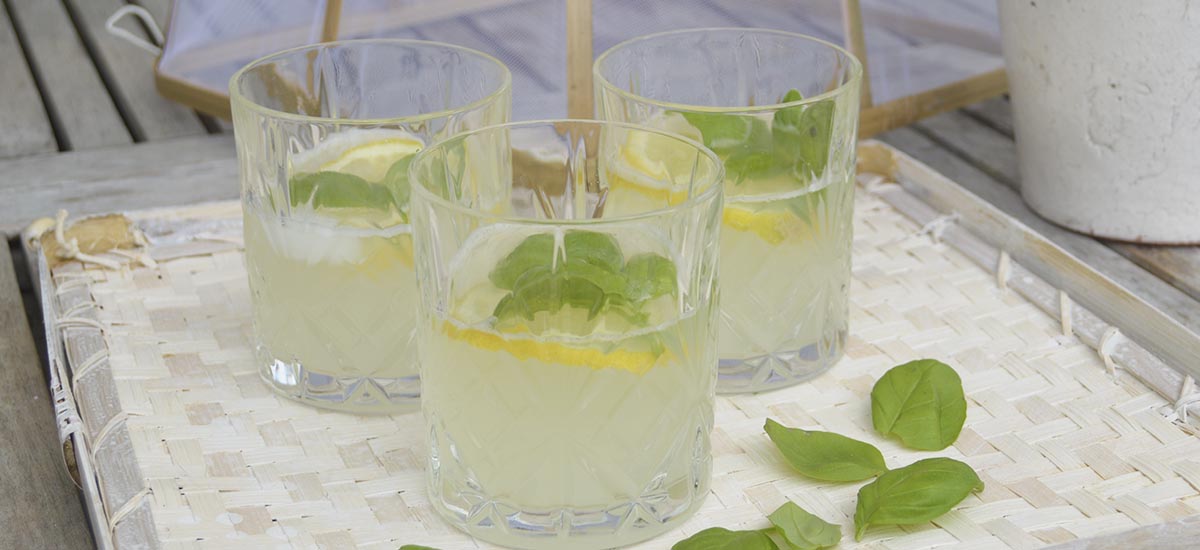 Lemonade med basilikum