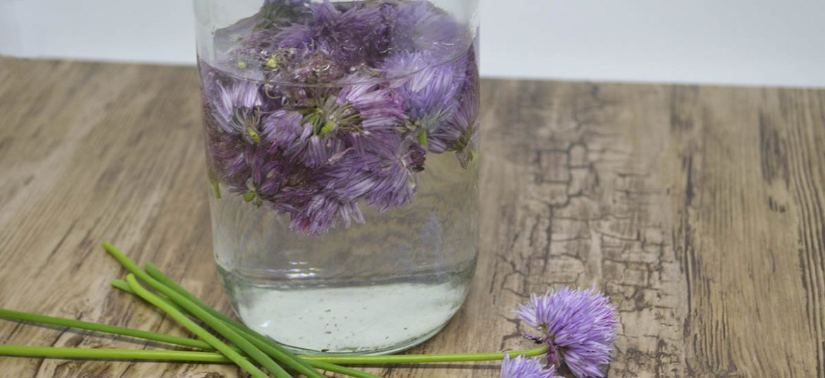 Kryddereddike med purløgsblomster