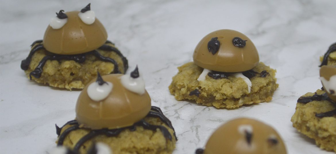 Halloween Spider Cookies