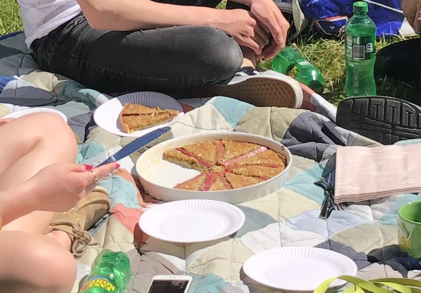 2020-05-31, kage på picnic